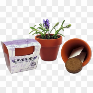 Customized Tiny Flower Pot - Tiny Plant Pot Clipart
