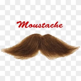 Moustache Png Picture - Wig Clipart