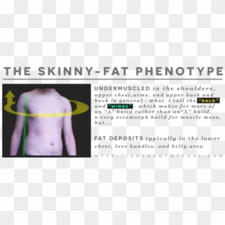What Is A Skinny-fat Ectomorph - Skinny Fat Characteristics Clipart