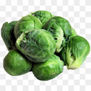 Brussels Sprouts Png Image - Brussel Sprouts Clip Art Free Transparent Png