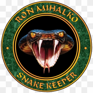 Python Logo Clipart Snacke - King Cobra - Png Download