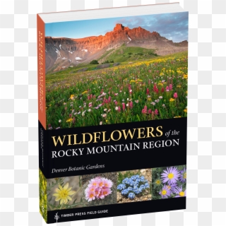 Mountain Wildflowers Clipart