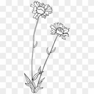 Big Image - Black And White Wildflower Clipart