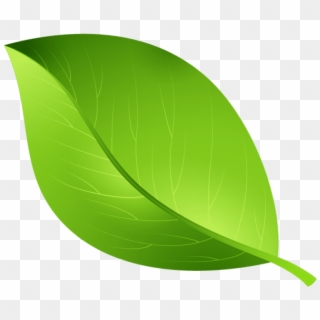 Free Png Download Green Leaf Transparent Png Images - Leaf Clipart Transparent Background