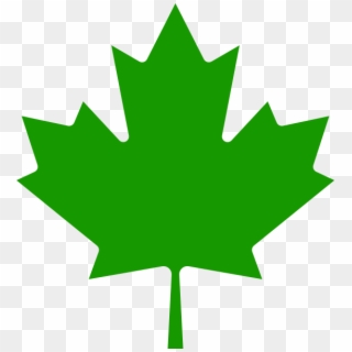 Aaevp Leaf - Canadian Maple Leaf Clipart