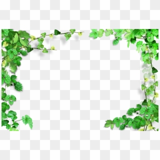 Background Frame Green Png Clipart