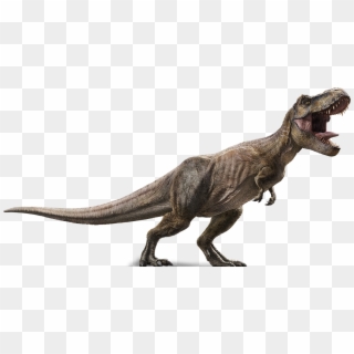 Jurassic Park Dinosaur Png - Tiranosaurio Rex Jurassic World Clipart