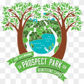 Nycruns Prospect Park 5k & 10k - Tree Clipart