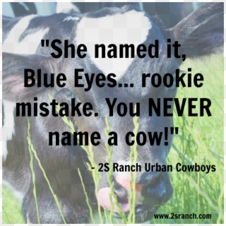 Blue Eyes - Dairy Cow Clipart