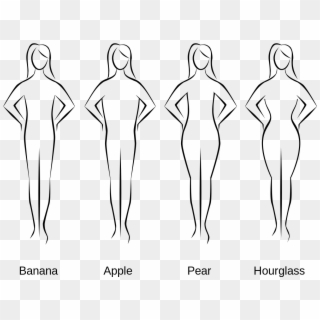 Different Types Of Body Curves Clipart