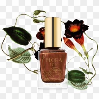 4flora 1761 Nail Lacquer In Chocolate Cosmos, $16 - Nail Polish Clipart