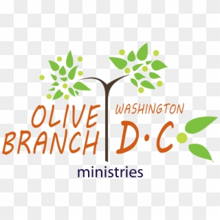 Olive Branch Washington Dc - Illustration Clipart
