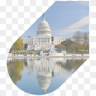 202 250 3441 Our Agents Are Available 24/7 - Washington Dc Clipart