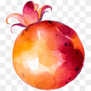 Fruit Vegetable Drawing Clipart