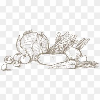 Fruit, Vegetables, Flowers - Fruits And Vegetables Sketch Clipart