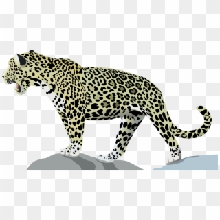 Jaguar Png Clipart