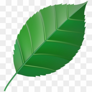 Green Leaf Transparent Clip Art Image - Png Download