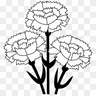 Carnation Clip Art - Carnation Flower Clipart Black And White - Png Download