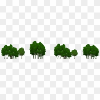 Forest Background Png Clipart