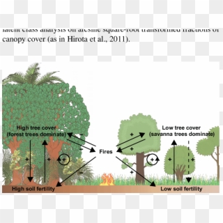 Relations Between Forest Tree Cover, Savanna Tree Cover, - Forest Fire Feedback Loop Clipart