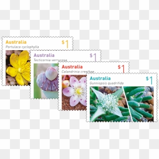 Australian Succulents Set Of Stamps - Australian Stamps 2017 Clipart
