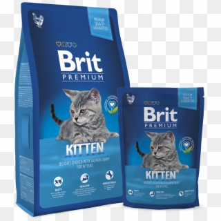 Brit Premium Cat Kitten Clipart