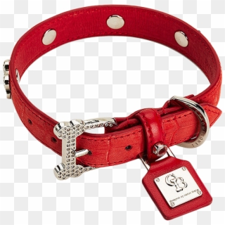 Dog Collar Png Photo - Red Dog Collar Transparent Clipart