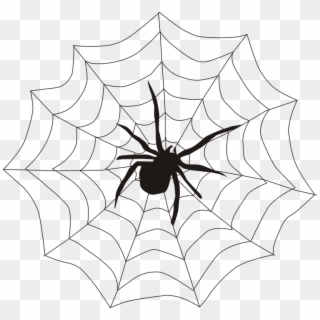 Spider Web Corner Transparent - Spider In A Web Drawing Clipart