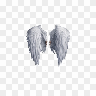 Angel Wings Png Photo - Free Png Angel Wings Clipart