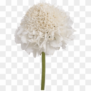 Artificial White Hydrangea , Png Download - Artificial Flower Clipart