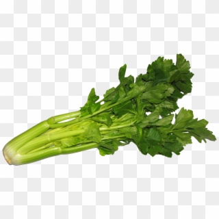 Free Png Celery Png Images Transparent - Sedano Clipart