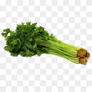 Celery Png Pic - Celery Png Clipart