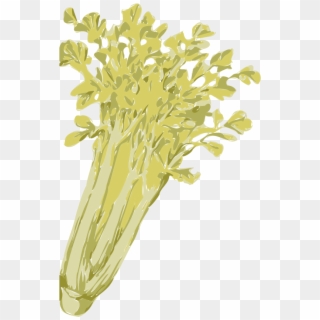 Celery Png Clipart