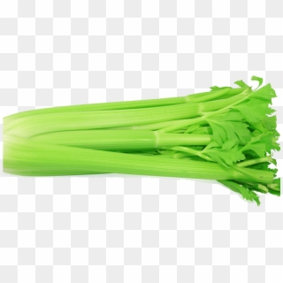 Celery - French Celery Clipart