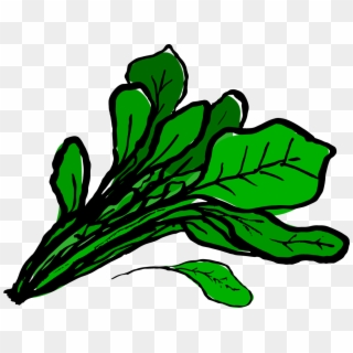 Spinach Clipart At Getdrawings - Clip Art Spinach - Png Download