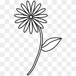 Free Pictures Of Drawings - Simple Flower Line Drawing Clipart