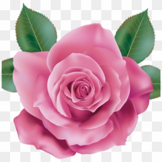 Pink Rose Clipart Rose Clipart Pink Rose Transparent - Rose Png