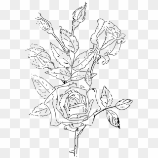 Victorian Rose Clipart Png Naatwh Clipart - Line Art Transparent Png