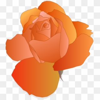 How To Set Use Orange Rose Icon Png Clipart