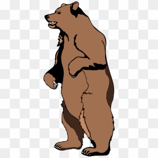 Clip Art Grizzly Bear - Standing Grizzly Bear Clipart - Png Download