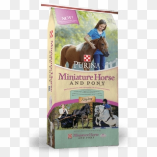 American Miniature Horse Clipart