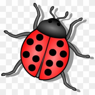 Bug Png Clipart