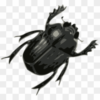 Bug Png Image - Bug Transparent Png Clipart