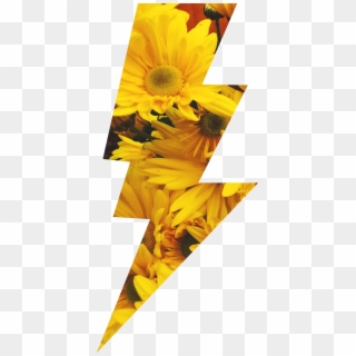 Sunflowers Sticker - Sunflower Clipart