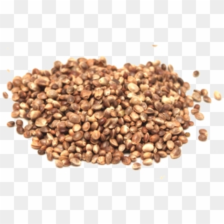 Hemp Seeds Png Picture - Buckwheat Groats Clipart