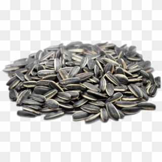 Download Png Image Report - Sunflower Seeds Calories Clipart