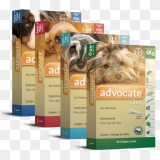 Bayer Dogs Advocate 21 Pip E Clipart