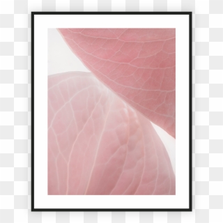 Home/nature/natural Shapes I - Visual Arts Clipart