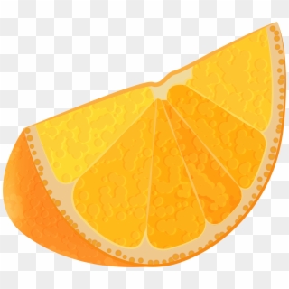 Free Png Orange Slice Png Clipart