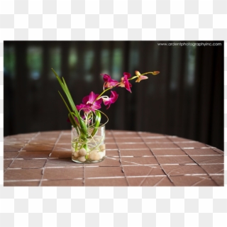 A Gorgeous Tropical Event Centerpiece - Anthurium Clipart